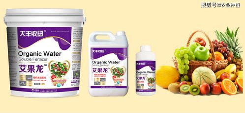 怎么促進果子膨大轉(zhuǎn)色,搞清關鍵原理才好對應下肥 大豐收艾果龍
