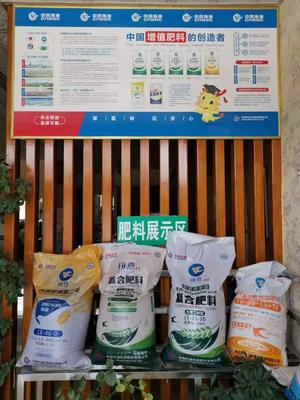 &ldquo;富島翔燕中國(guó)化肥增值行動(dòng)&rdquo;走進(jìn)新疆增值肥料助力新疆農(nóng)業(yè)發(fā)展