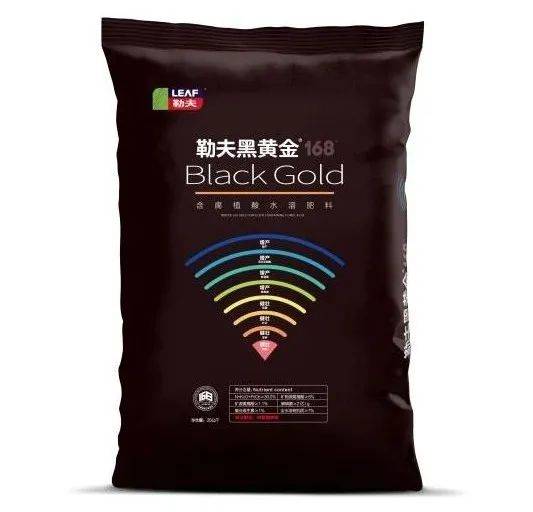 茄子為什么增產,一起看看李大哥用了什么肥料