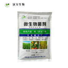 2021年微生物肥料市場行情深度解析 價格、報價與批發渠道探秘