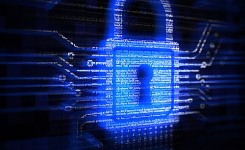 浙江警方引領(lǐng)網(wǎng)絡(luò)與信息安全軟件開發(fā)新篇章